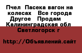 Пчел. Пасека-вагон на колесах - Все города Другое » Продам   . Калининградская обл.,Светлогорск г.